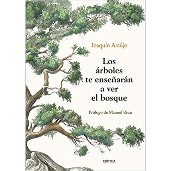 LOS ÁRBOLES TE ENSEÑARÁN A VER EL BOSQUE