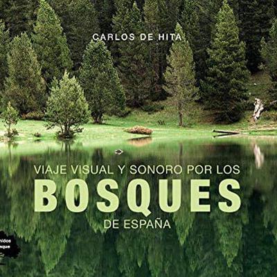 VIAJE VISUAL Y SONORO POR LOS BOSQUES DE ESPAÑA